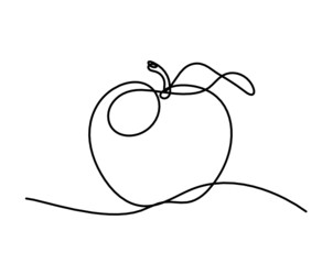 Drawing line apple on the white background. Vector