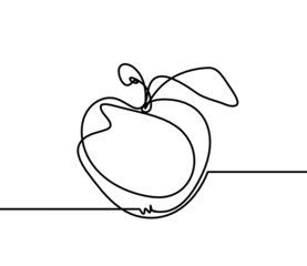 Drawing line apple on the white background