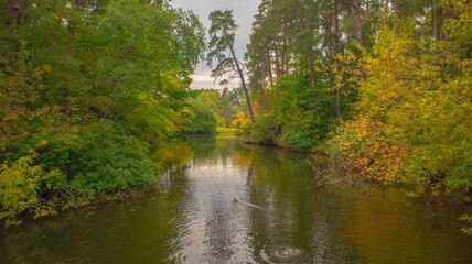 The prospect of a river surrounded by an autumn forest.