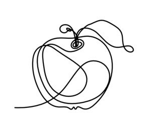 Drawing line apple on the white background. Vector