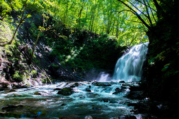 群馬県長野原町　浅間大滝