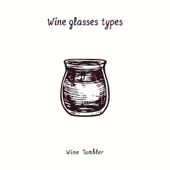 Wine glasses types collection, Wine Tumbler. Ink black and white doodle drawing in woodcut style.