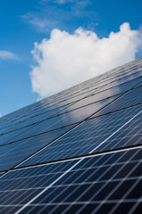 photovoltaic - recycling - renewal of photovoltaic panels - service