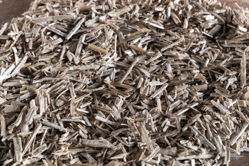 Hemp plant bed for rodents