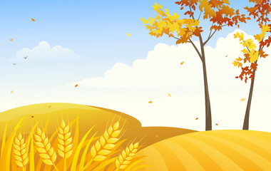 Wheat field background, vector illustration