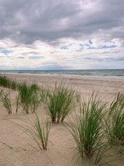 White sand dunes with some grass and seascape background