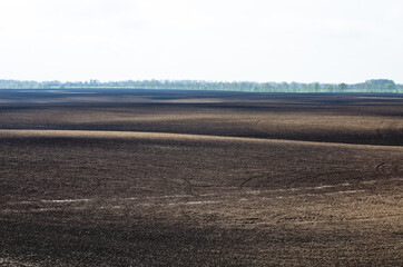 A plowed and sown field in early spring in Russia