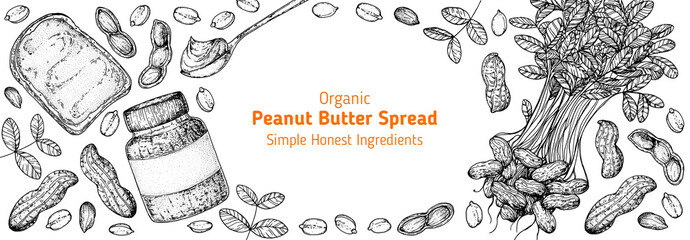 Peanuts and ingredient for peanut butter sketch. Breakfast for energy. Hand drawn vector illustration. Design template. Vegan food. Peanut nut butter set.