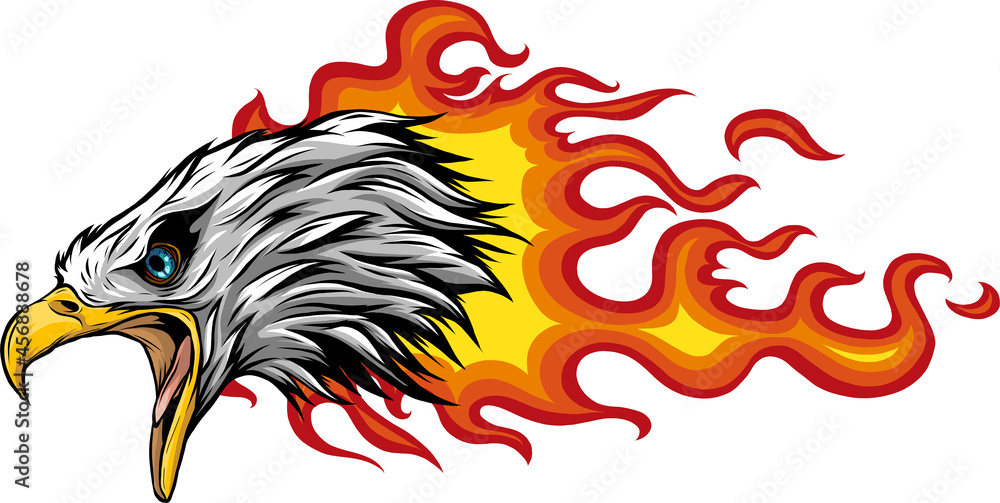 Wall mural vector illustration of head Eagle with flames