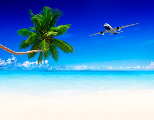 Fototapeta na wymiar airplane and beach blue sky with palm tree.