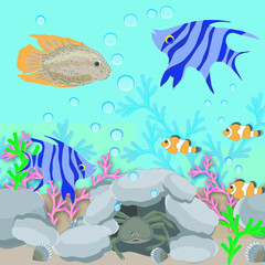 Naklejka na ściany i meble Underwater landscape: crab and fish in the water, algae, stones. Illustration 