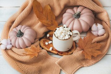 Autumn still life on wooden background with cocoa mug and marshmallows, pink pumpkins, autumn leaves, knitted sweater