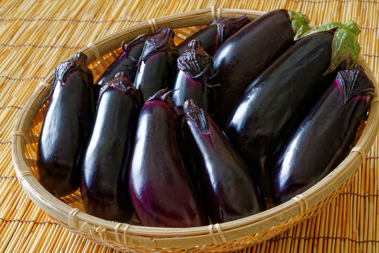 茄子 Images Browse 12 0 Stock Photos Vectors And Video Adobe Stock