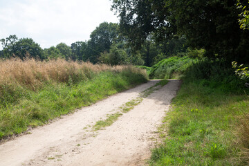 Fototapeta na wymiar Typical landscape of eastern part of Dutch province Overijssel