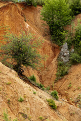 Nature rock among the red soil