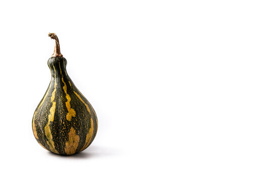 Fresh green pumpkin isolated on white background. Copy space