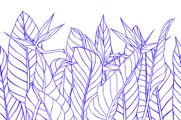 Horizontal seamless banner with strelitzia flowers and leaves. Floral texture with bird of paradise or crane flower plant. Unique hand drawn background. .Outline drawing of tropical plants.
