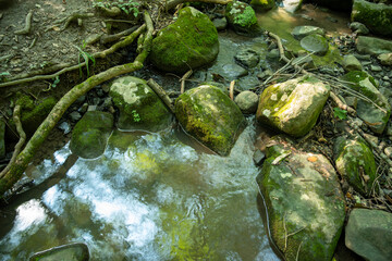 Mossy stones and woodland reflections in idyllic flowing stream