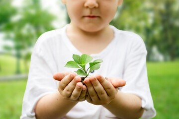 Little boy holding soil and plant in the park..We are proud to s