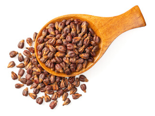 Dried grape seeds in the wooden spoon, isolated on white background, top view