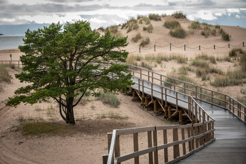 nature conservation area Yyteri beach in Finland