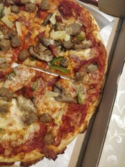 pizza with salami and tomatoes