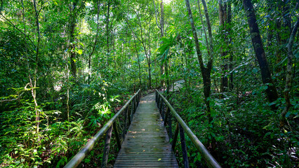 Fototapeta na wymiar Manuel Antonio National Park. Costa Rica