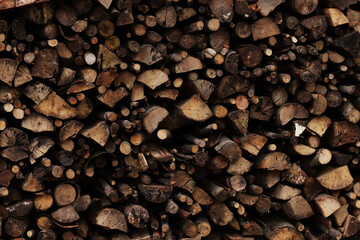 Closeup of a pile of cut tree