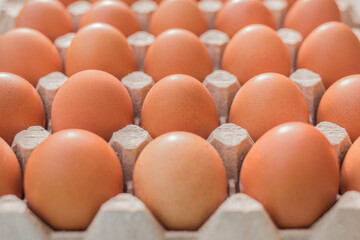 Raw chicken eggs in a cardboard tray, farm brown eggs background