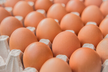 Raw chicken eggs in a cardboard tray, farm brown eggs background, soft focus