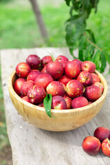 juicy ripe nectarines in a wooden bowl on the old rustic wooden table
