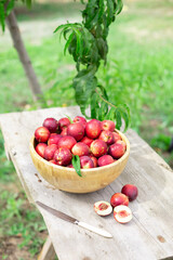 juicy ripe nectarines in a wooden bowl on the old rustic wooden table
