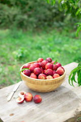 juicy ripe nectarines in a wooden bowl on the old rustic wooden table
