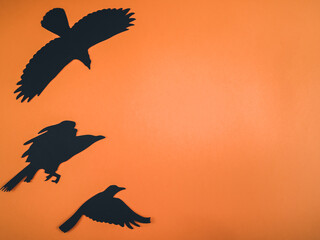 Naklejka premium Black crows with a witch on an orange background.