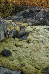 rocks in the water
