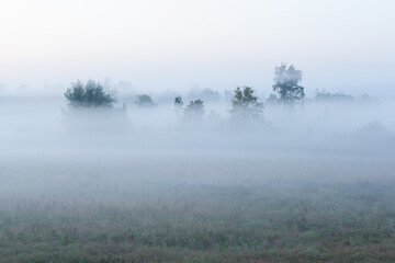 Fototapeta na wymiar Misty landscape in Flanders, Belgium