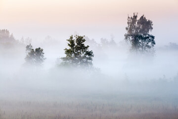Obraz na płótnie Canvas Misty landscape in Flanders, Belgium