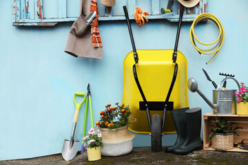 Beautiful plants, gardening tools and accessories near shed outdoors