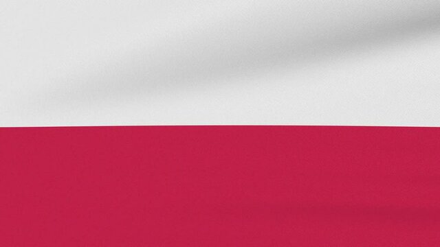 Loop Waving Flag Poland Land 3D Closeup