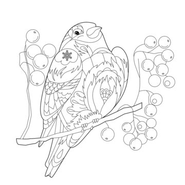 Contour linear illustration for coloring book with decorative bullfinch. Pretty Christmas bird,  anti stress picture. Line art design for adult or kids  in zen-tangle style, tatoo and coloring page.