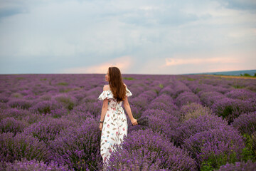  girl in lavender field, lavender field, lavender, woman in lavender field