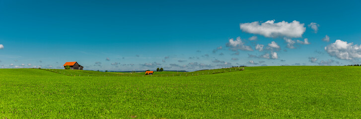 Allgäulandschaft mit Bauernhaus im Sommer