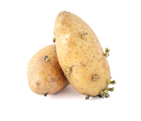 potatoes isolated on white background