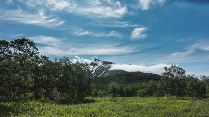 Lush grass and deciduous trees grow on a green meadow. In the distance, a mountain with snow-covered slopes is visible. There are picturesque cumulus and cirrus clouds in the blue sky. Kamchatka