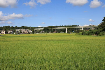 Fototapeta premium 田舎の景色