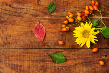 Flat composition with rosehips berries, leafs and sunflower on a wooden table. Cozy autumn or the concept of winter rest
