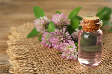 Obraz na płótnie Canvas Beautiful clover flowers and bottle of essential oil on table, closeup. Space for text