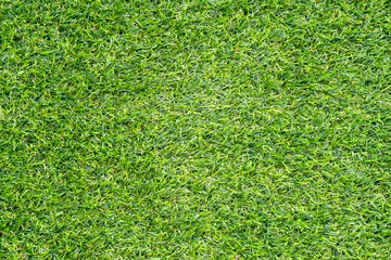 Fototapeta premium Green grass texture for background. Green lawn pattern and texture background.