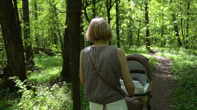 Girl with the baby carriage is walking in a forest park.