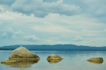 A lonely seagull is sitting on a rock in the middle of the lake
